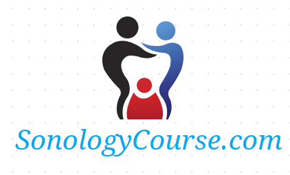 sonologycourse.com